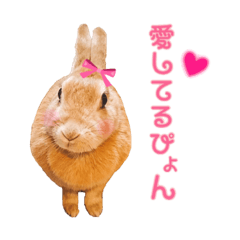 [LINEスタンプ] はなちゃんSTAMP