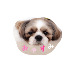 [LINEスタンプ] じょわくんスタンプ2