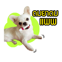 [LINEスタンプ] Baan Mah Deu