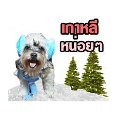 [LINEスタンプ] Moji Oppa