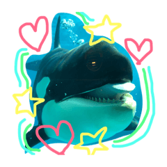 [LINEスタンプ] 0rcachan
