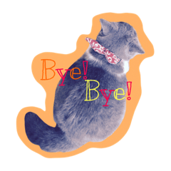 [LINEスタンプ] neko no nichijo