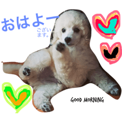 [LINEスタンプ] ぷーどる7