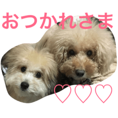 [LINEスタンプ] えにぱる