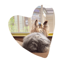 [LINEスタンプ] dog.dog.dog