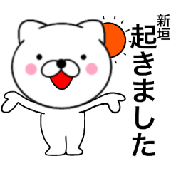 [LINEスタンプ] 【新垣】が使う主婦が作ったデカ文字ネコ
