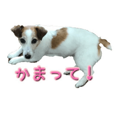 [LINEスタンプ] with bell  2の画像（メイン）