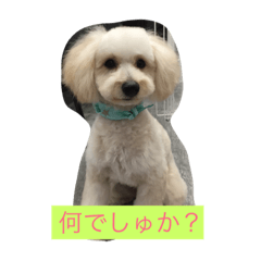 [LINEスタンプ] ホップドック