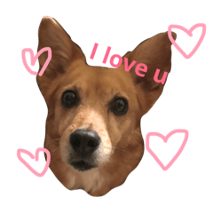 [LINEスタンプ] Laika＆Michael