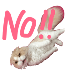[LINEスタンプ] むぅさま