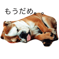 [LINEスタンプ] ブルドッグ  タンク