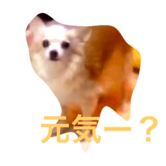 [LINEスタンプ] my lovely dogs.