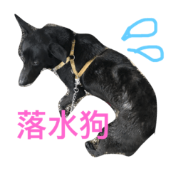 [LINEスタンプ] Doggy ＆ froggy