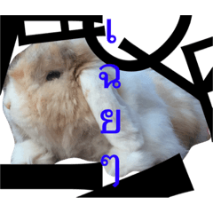 [LINEスタンプ] momojiji