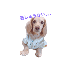 [LINEスタンプ] Gaia0805