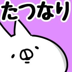 [LINEスタンプ] 【たつなり】専用