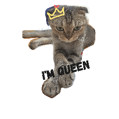 [LINEスタンプ] Jaslene's Diamond cat