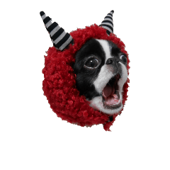 [LINEスタンプ] Pooh is japanesechin.