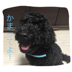 [LINEスタンプ] MOKAthan