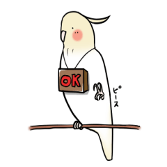 [LINEスタンプ] 謙虚なインコくんスタンプ
