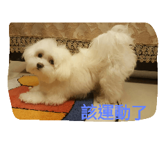 [LINEスタンプ] very lovely