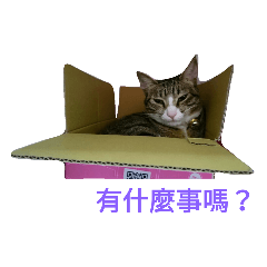 [LINEスタンプ] BAD BAN2
