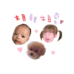 [LINEスタンプ] Baby Sambo