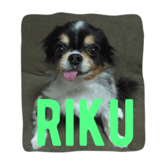 [LINEスタンプ] 癒しのkuu-riku