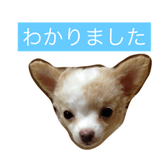 [LINEスタンプ] リンラム日記