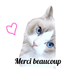 [LINEスタンプ] CAT LUNA