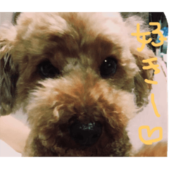 [LINEスタンプ] ぷらむとめろん
