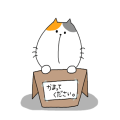 [LINEスタンプ] ミケ太郎