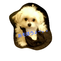 [LINEスタンプ] 小梅と小鉄と小晴。。