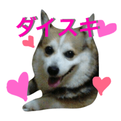 [LINEスタンプ] ひなくぅぷん