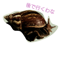 [LINEスタンプ] Snail stamp