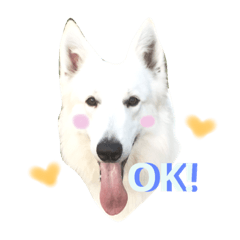 [LINEスタンプ] ワンコのスタンプ