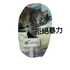 [LINEスタンプ] Cat sing