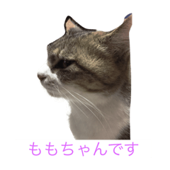 [LINEスタンプ] ももちゃんとか