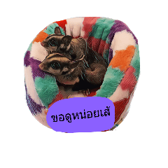 [LINEスタンプ] littlesugar
