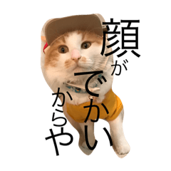 [LINEスタンプ] るいしゃん