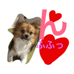 [LINEスタンプ] 長男の大吉くん