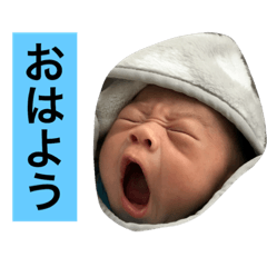[LINEスタンプ] さかた家の愉快な仲間たち