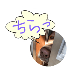 [LINEスタンプ] らぶ・ライト