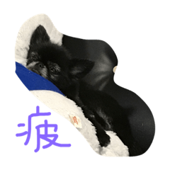 [LINEスタンプ] 愉快な愛動物