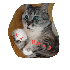 [LINEスタンプ] うちのミント