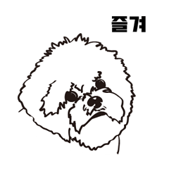 [LINEスタンプ] Special Bichon