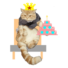 [LINEスタンプ] Butter Cat