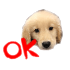 [LINEスタンプ] JONyan