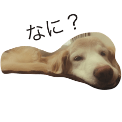 [LINEスタンプ] today's jazz