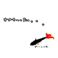 [LINEスタンプ] 金魚のミネさん。